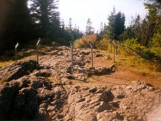 Near the peak, Sumas Mountain 1999-10.